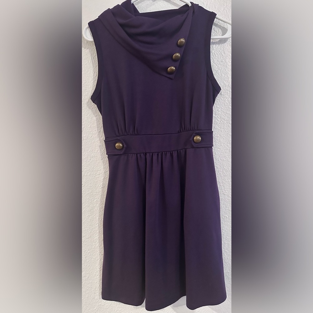 Monteau Dress in Deep Purple with Button Accents